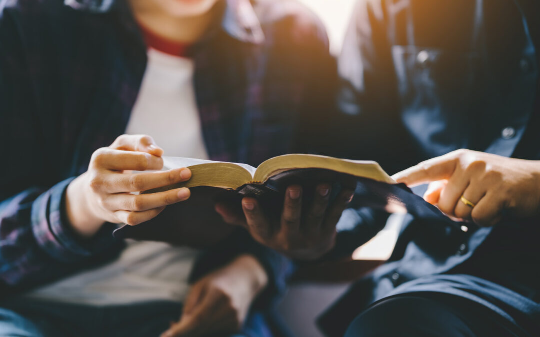 Placeholder Article for Teens